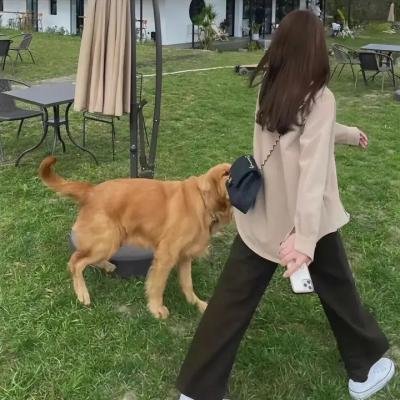 秘密的爱